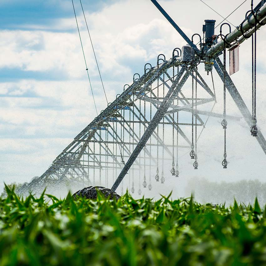 proveedor-insumos-agroindustriales-001
